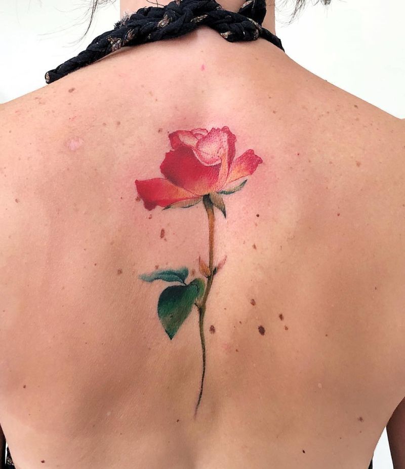 Red watercolor roses tattoo  Watercolor rose tattoos Beautiful tattoos  Calf tattoo