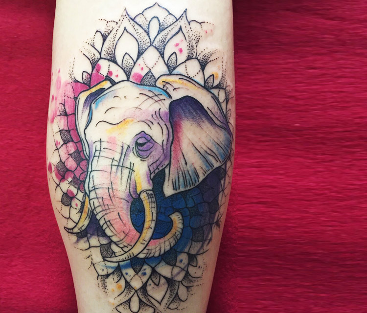 Healed mandala elephant done in January by AJ James Euphoria Tattoo  Waynesville NC 1 session 9 hours Repost with proper info p  rtattoos