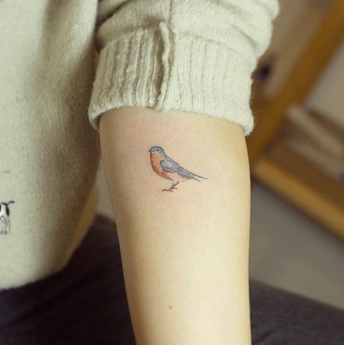 20 top Captivating Animal Illustration Tattoos ideas in 2024