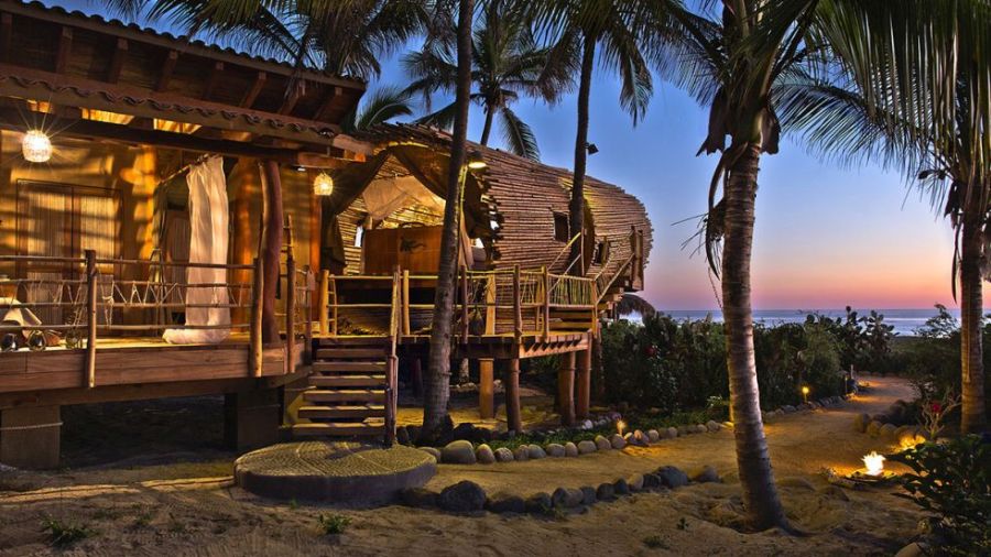 oceanfront tree-house