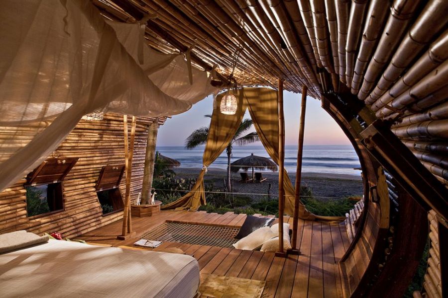 beautiful beachside treehouse hotel