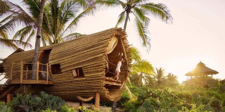 treehouse hotel