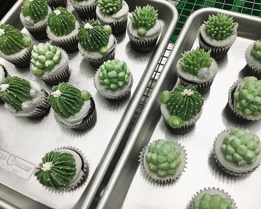 succulent cupcakes