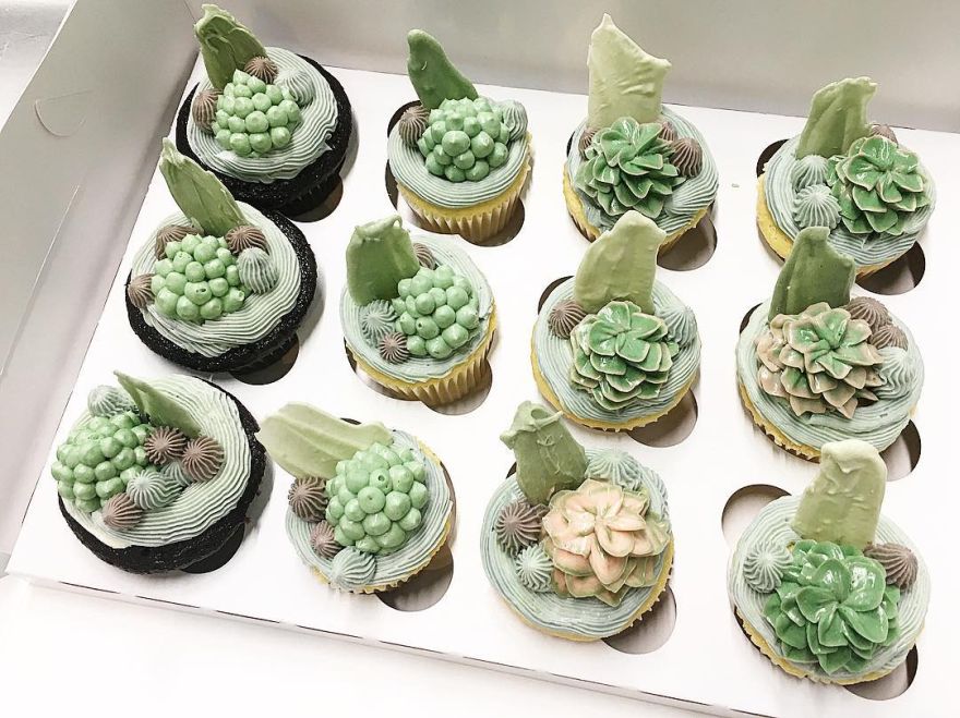 succulent cupcakes