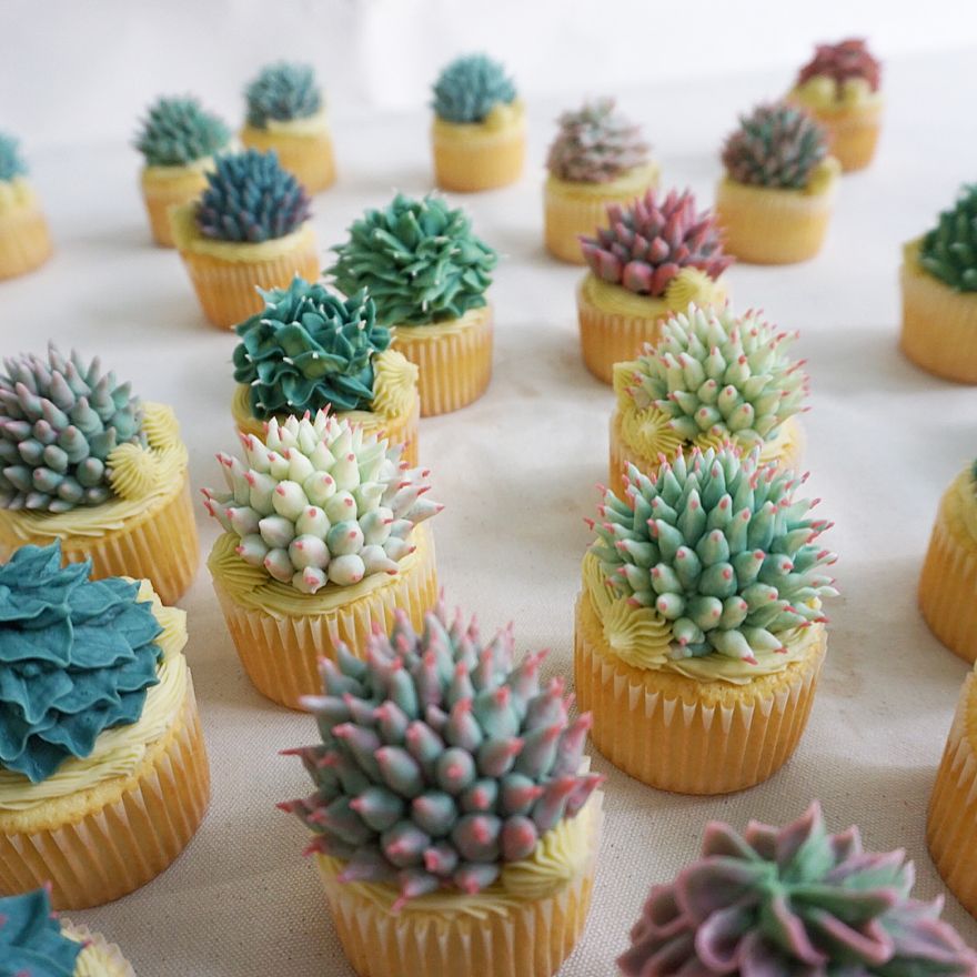 Succulent Cupcakes