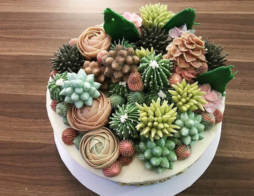 succulent cake