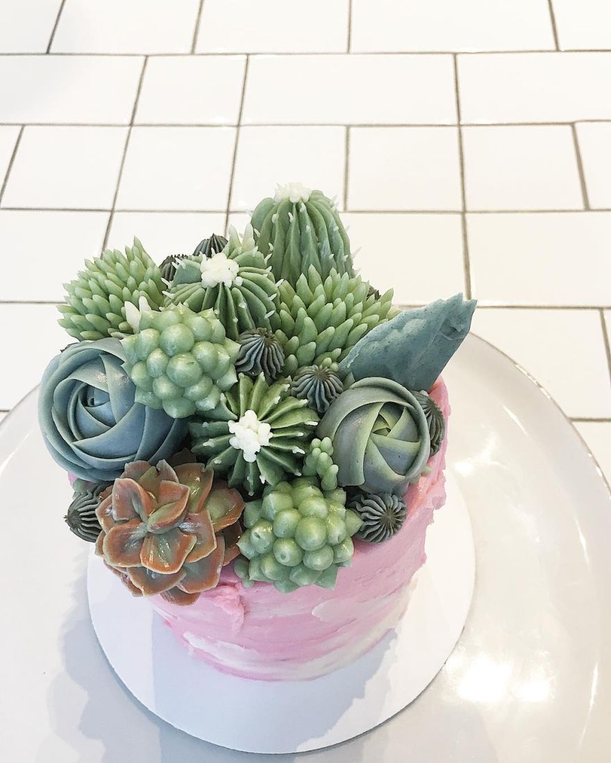 succulent cakes