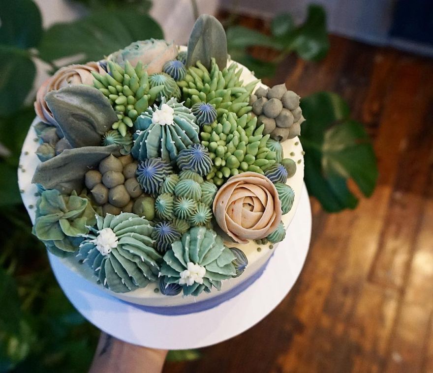 best Cactus cakes