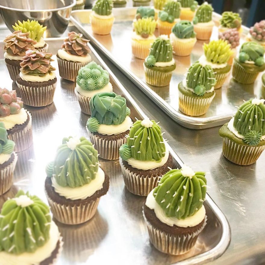 succulent cupcakes