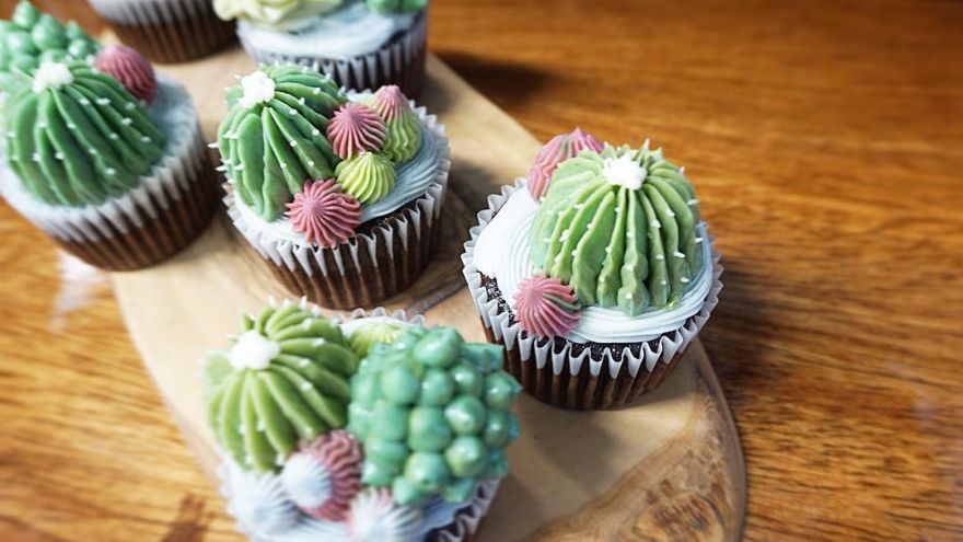 succulent cupcakes