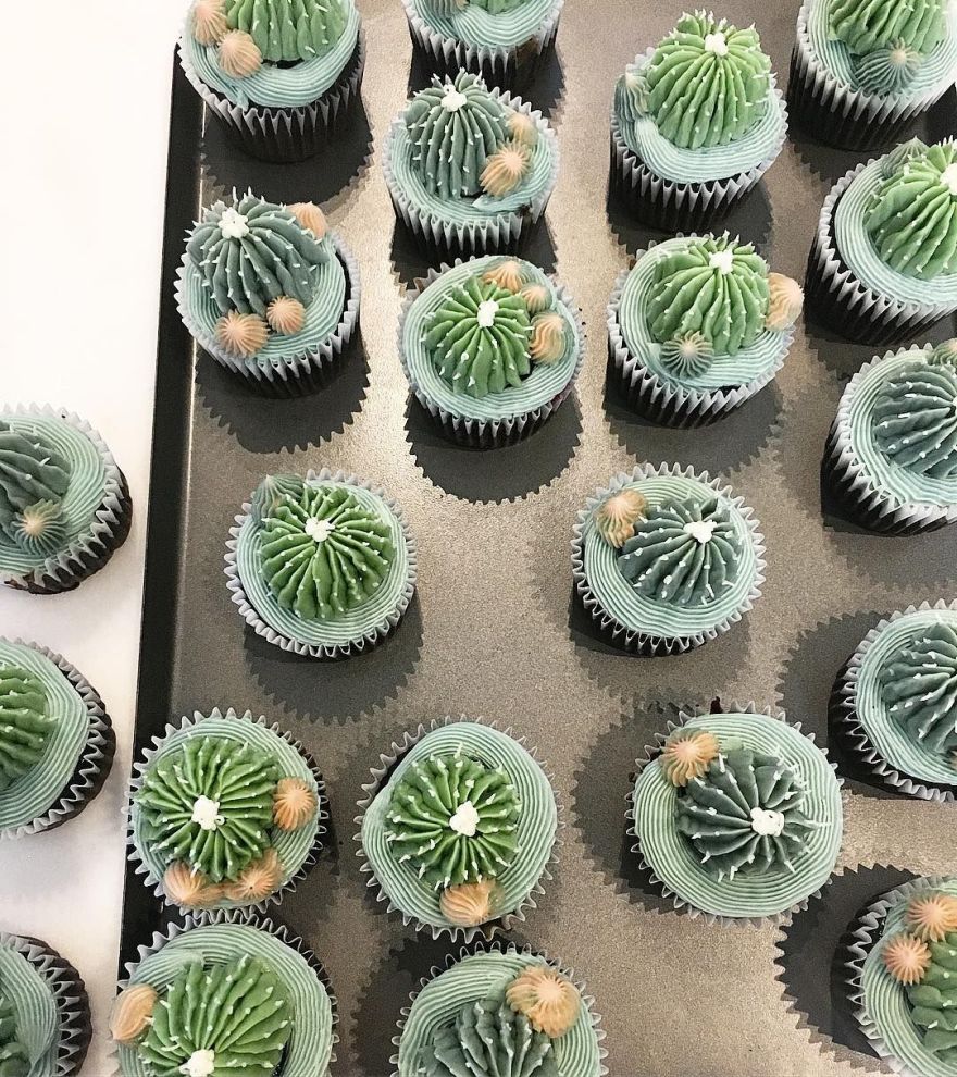 succulent cupcakes