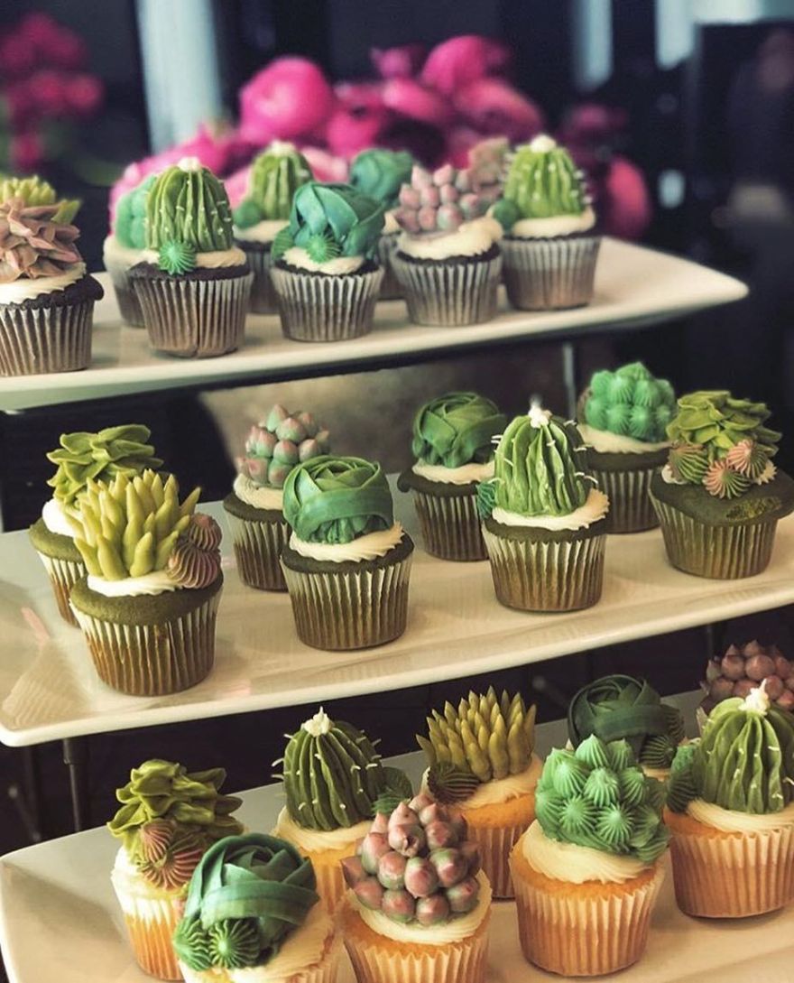 succulent cupcakes