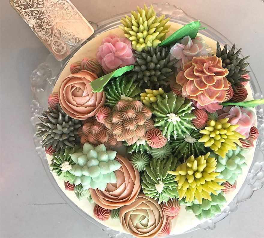 succulent cake