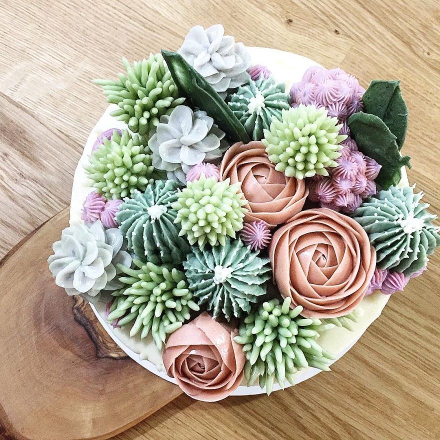 succulent cake