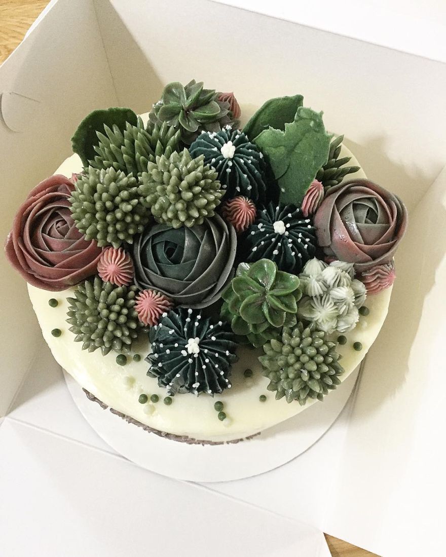 succulent cake