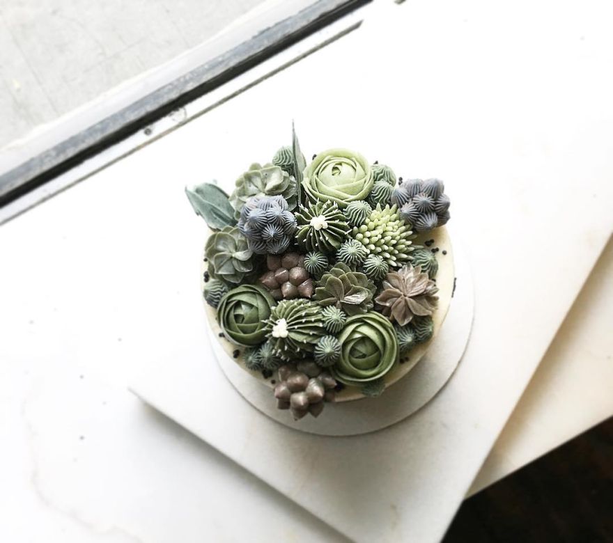 succulent cakes