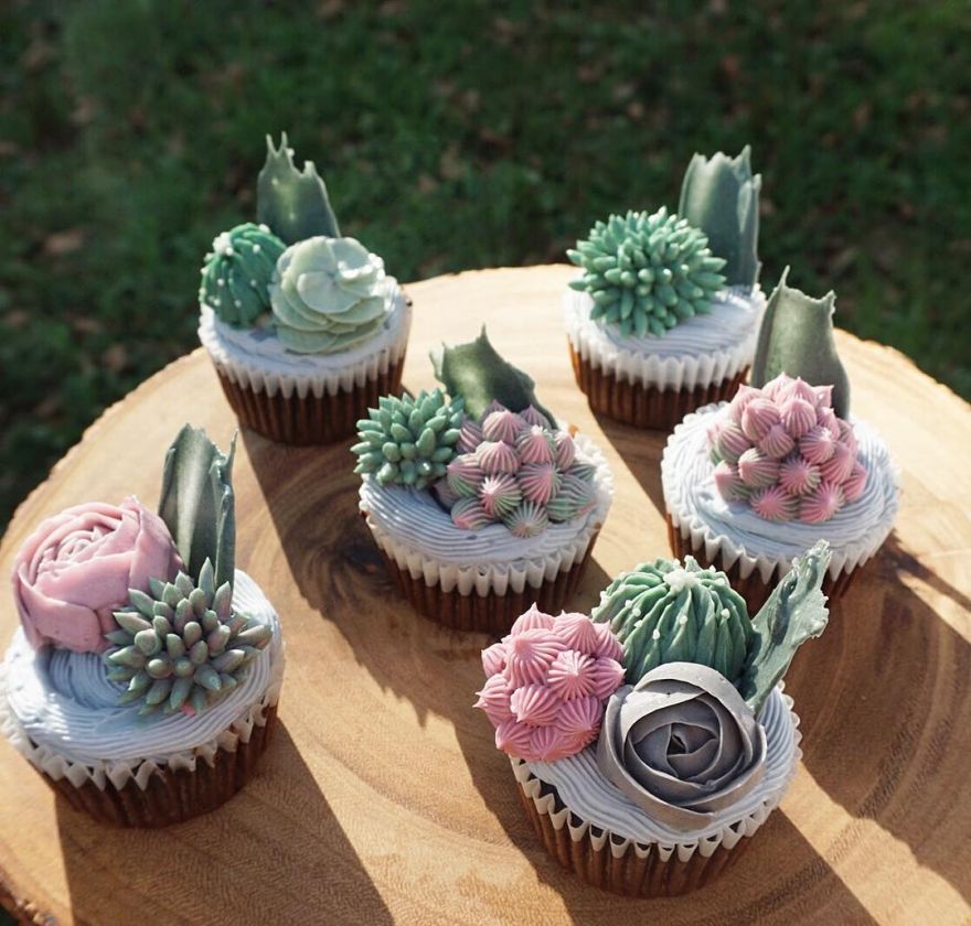 succulent desserts