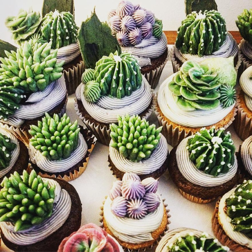succulent cupcakes