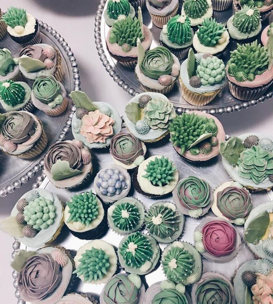 succulent desserts