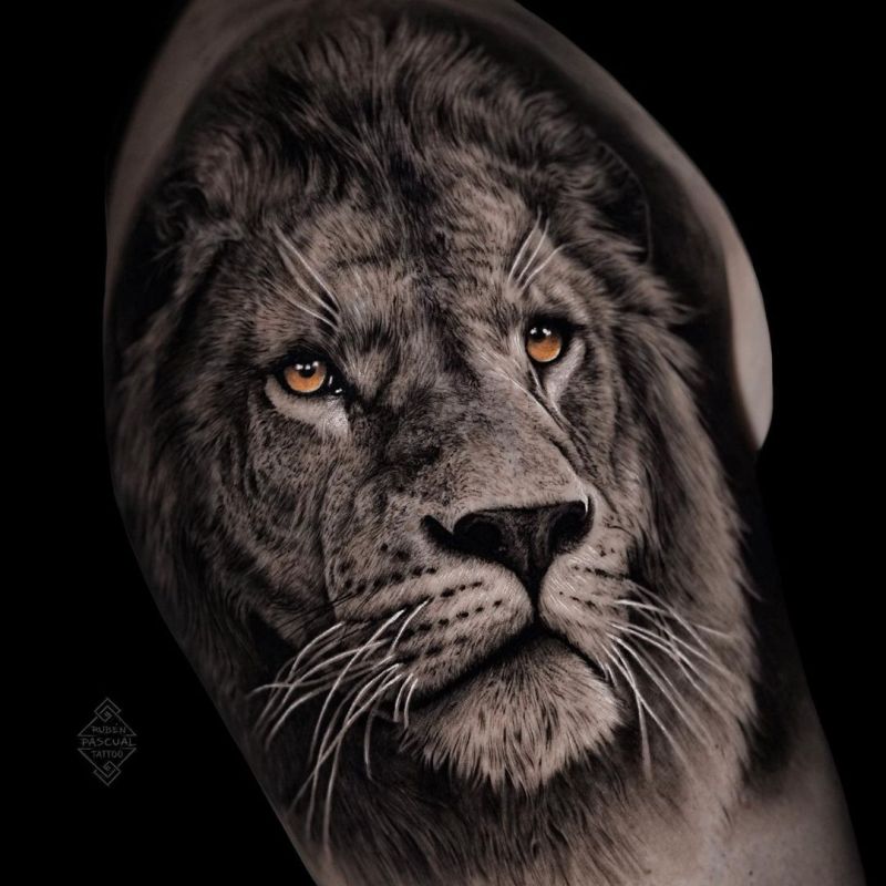 Tip 99+ about lion face tattoo design best .vn