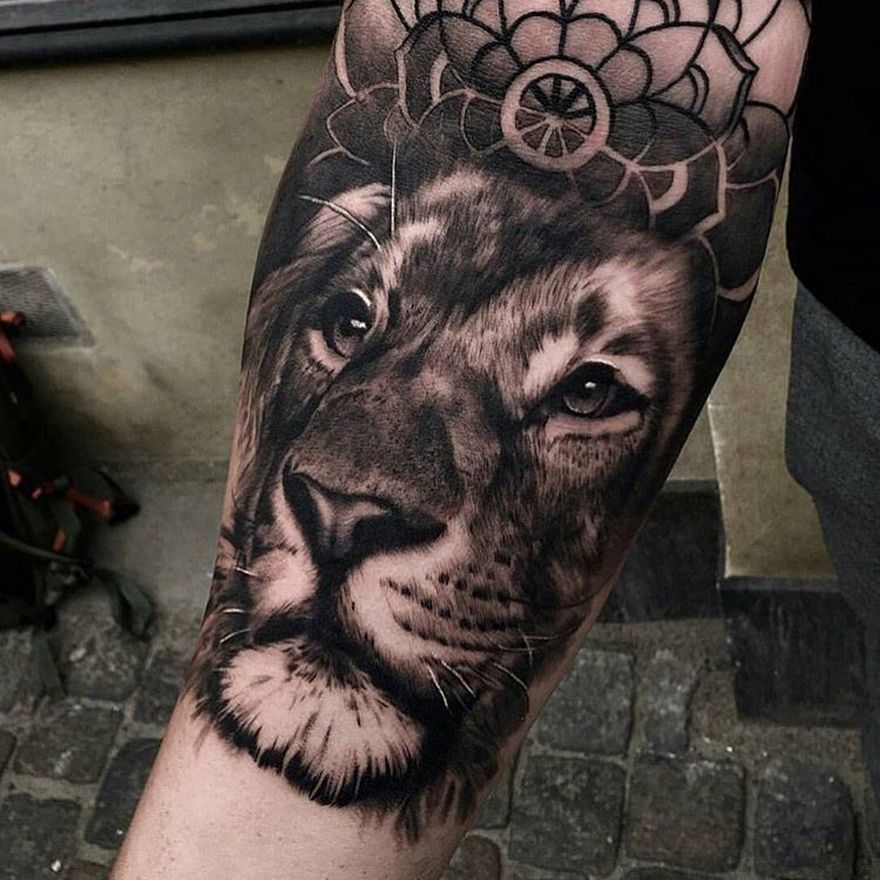 A spectacular full back lion tattoo for men | Lion back tattoo, Mens lion  tattoo, Lion tattoo