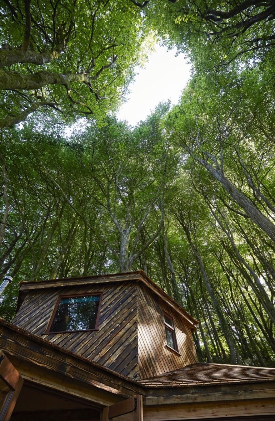Ravendere Retreat Treehouse