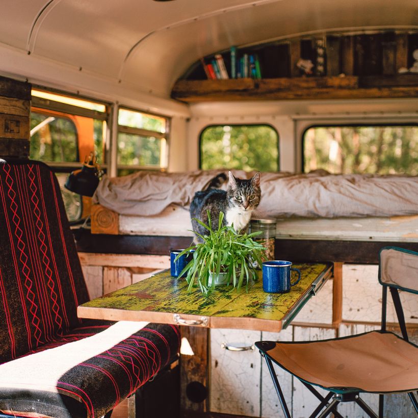 adventure van - converted school bus