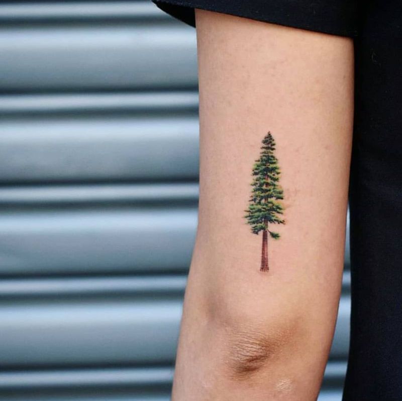 Discover 83+ minimal tree tattoo super hot esthdonghoadian