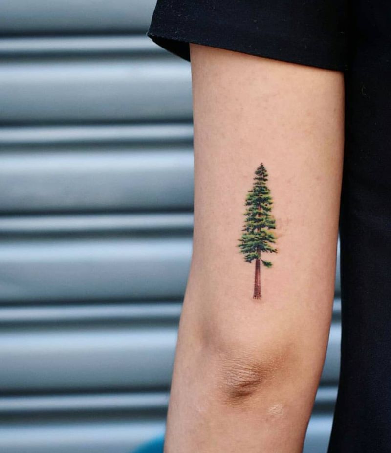 Pine tree tattoo on the right inner forearm