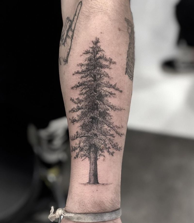 Fine line pine tree tattoo on the wrist.