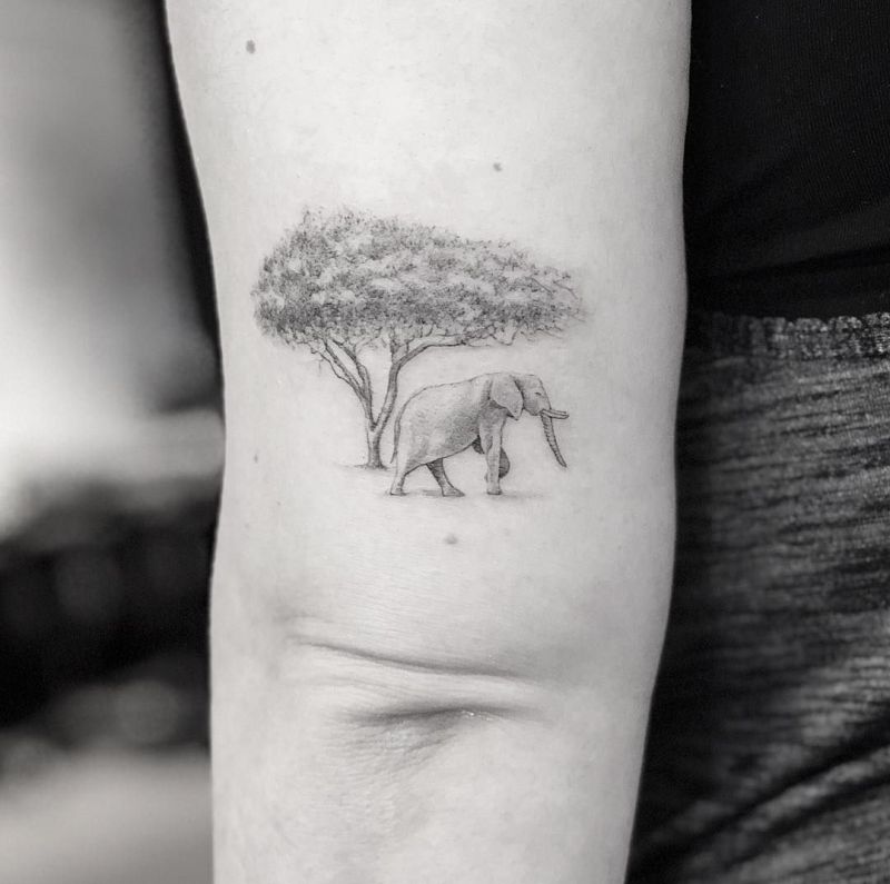 Discover more than 76 elephant tree of life tattoo best  thtantai2