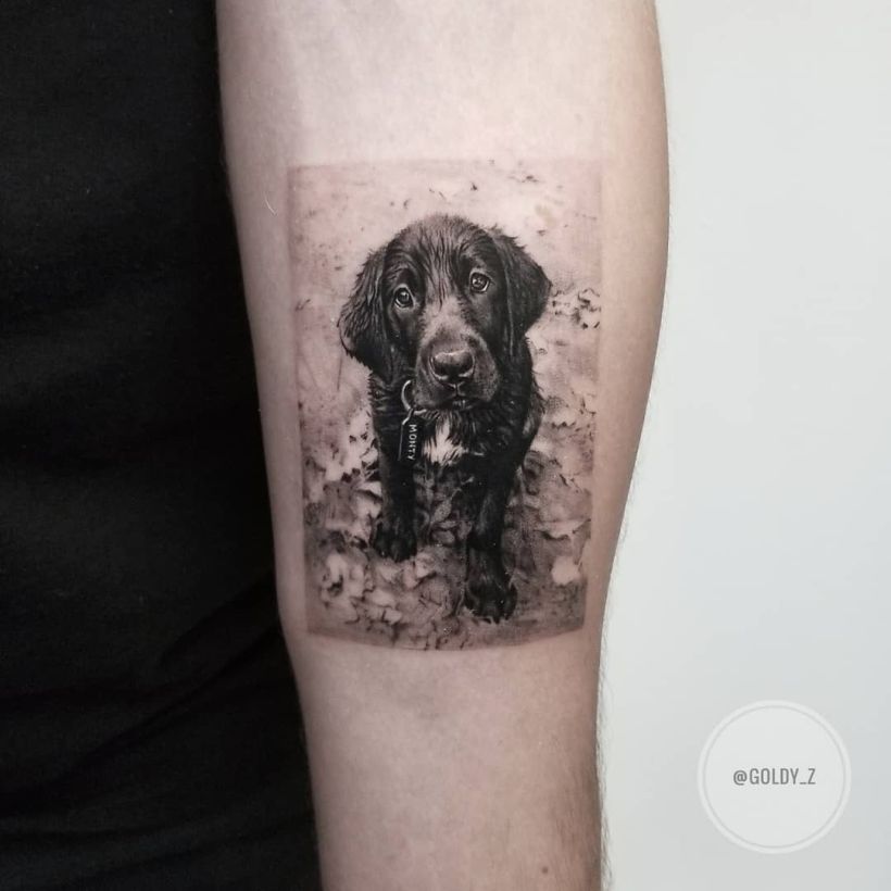 cute dog tattoo Zlata Kolomoyskaya