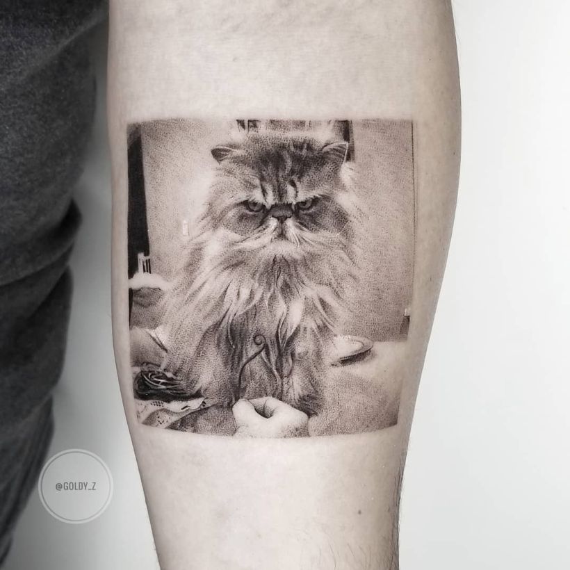 fine line realistic cat tattoo