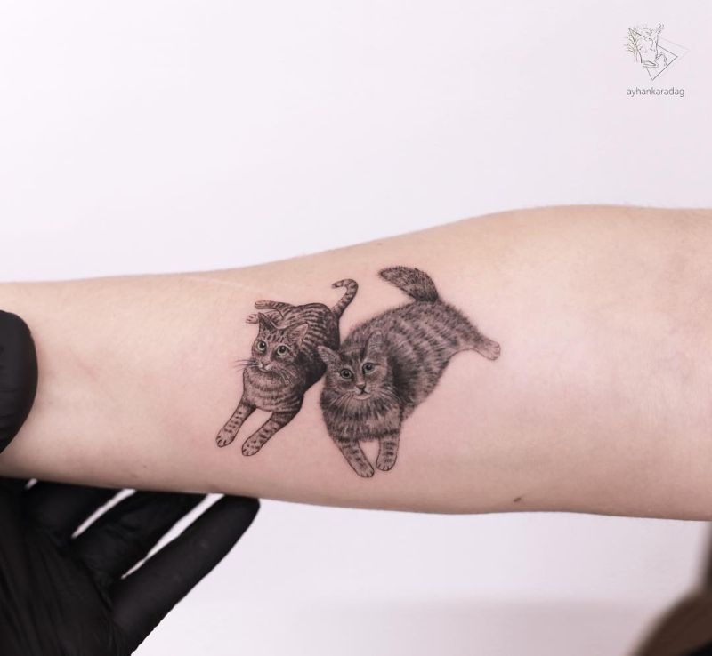 Cat Tattoo Ideas - Kings Avenue Tattoo