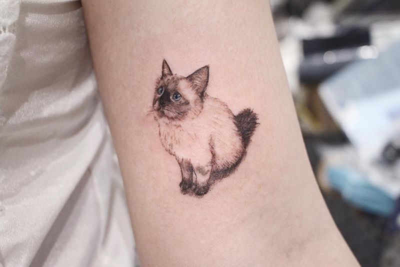 Cute Cat Tattoos Herb Juice Temporary Tattoos Waterproof Fake Tattoo For  Woman Elagant Arm Lasting Cartoon Tattoo Sticker - Temporary Tattoos -  AliExpress