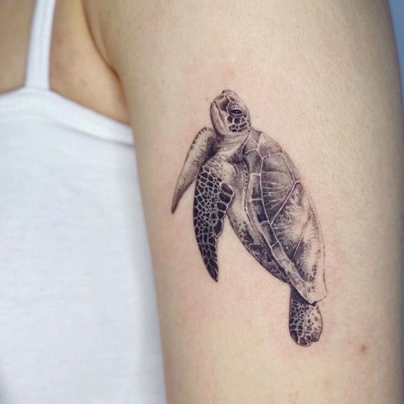 delicate turtle tattoo