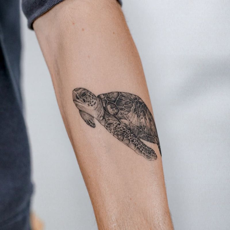 20 Interesting Turtle Tattoo Ideas For Guys  Styleoholic