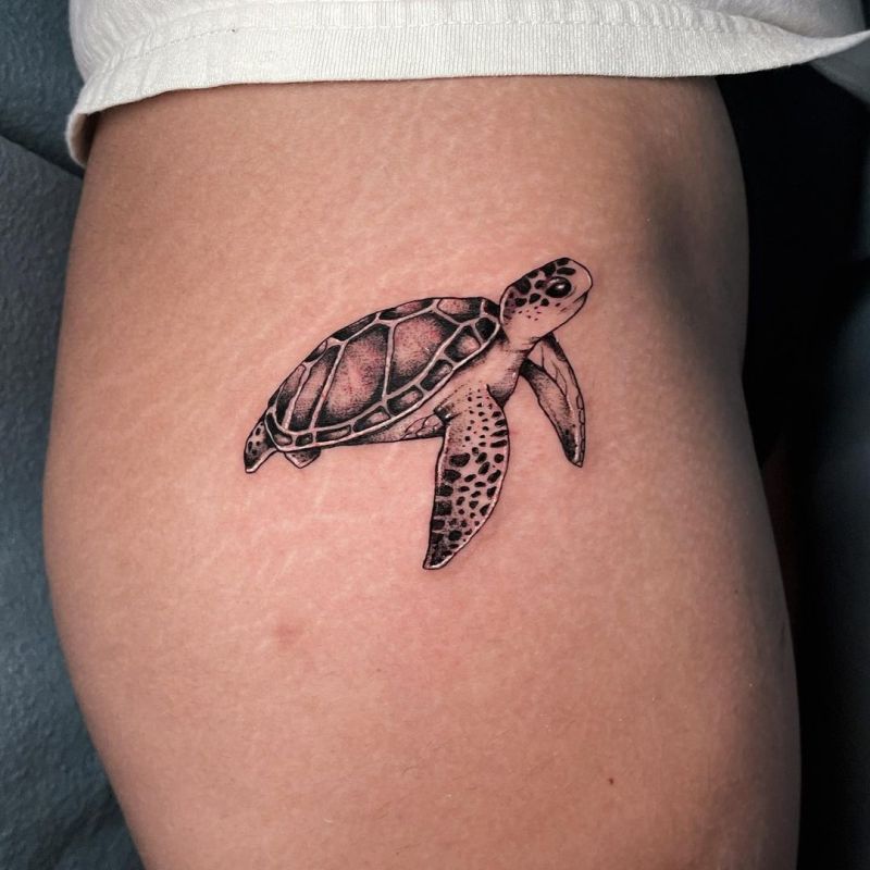 smal turtle tattoo fragptc 7  KickAss Things
