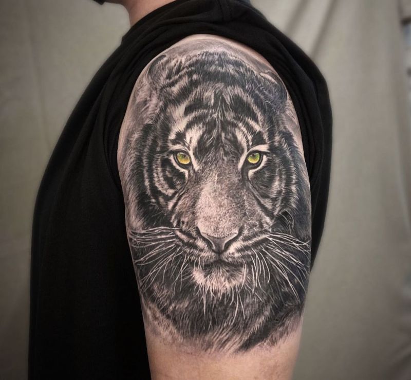 amazing tiger tattoos