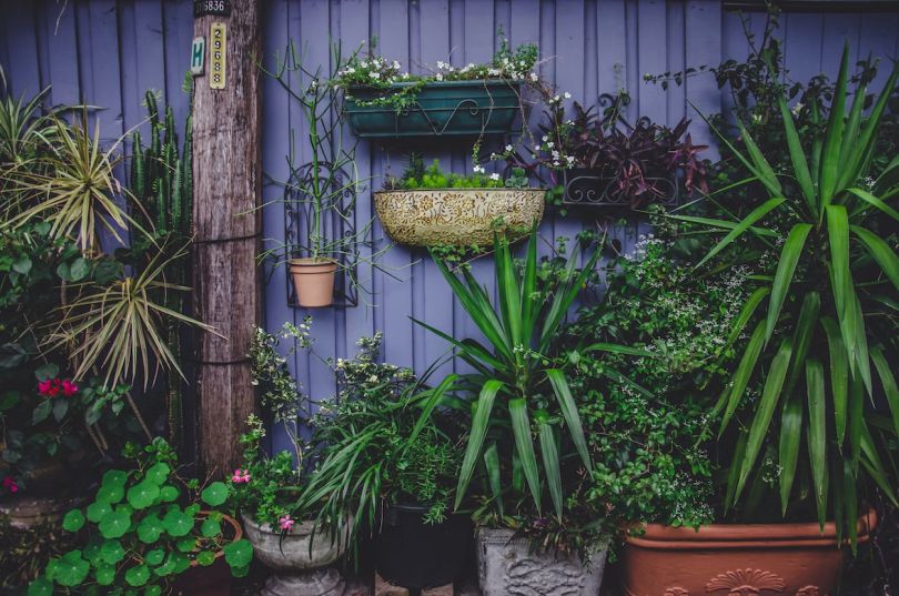 Ideas For Your Garden